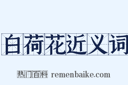 白荷花近义词是什么意思的图片